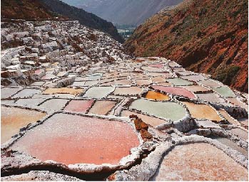 Maras Moray
